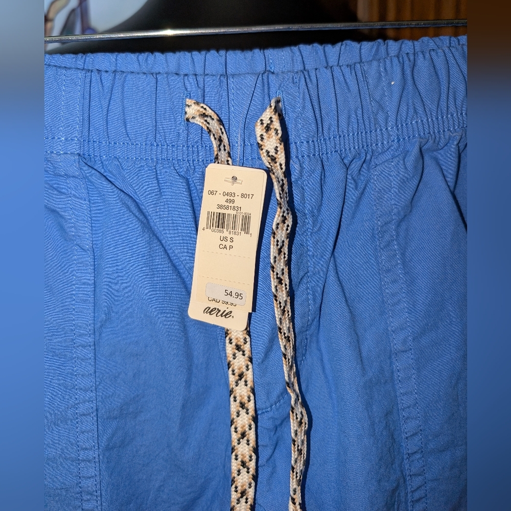 Aerie Blue Cargo Pants - Picture 2 of 3